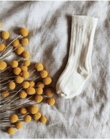 Resim KARDEŞLER BABY Unisex Bebek Çocuk Ekru Renk Dizaltı Çorap 