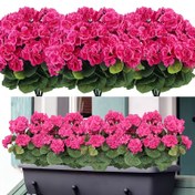 Resim 3 Paket UV Dayanıklı Yapay Geranium - Yeşil Yapraklı Pembe, Ev Bahçe Dekoru, Düğünler, Doğum Günleri ve Daha Fazlası İçin Mükemmel - Asılı Kurulum, Pil Gerektirmez, Şükran Günü, Paskalya, Hanukkah ve Daha Fazlası İçin İdeal - Plastik Malzeme, Tüm Mevsimler İçin Kullanım, Bahçe Dekoru | Canlı Bahçe Aksesuarı | Dayanıklı Kumaş, Yapay Çiçekler 
