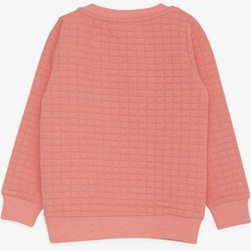 Resim Breeze Kız Çocuk Sweatshirt Pullu Yazı Baskılı 1.5-5 Yaş, Somon 