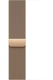 Resim STOREMAX Band - Loop - 46 mm - Altın Rengi - S/M 842385 