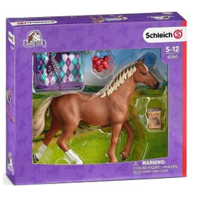 Resim Schleich Thoroughbred Seti 42360 