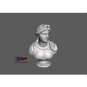 Resim Opencart Genç Kadın Büstü - Simone Bianco Heykel 3d Tarama Sadece Plastik Aparattır 