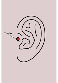 Resim Mey İthalat 316l Çelik Gümüş Renk Zirkon Taşlı Tragus Piercing 