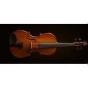 Resim Valencia Va16038 Viyola Kutulu 15"38cm 