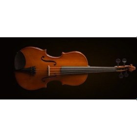 Resim Valencia Va16038 Viyola Kutulu 15"38cm 