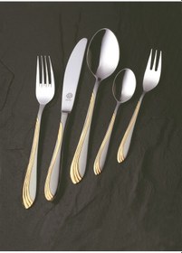 Resim Çatal Kaşık Bıçak Seti Sonja Mat Altın 96 Parça Ggs Solingen Altın 