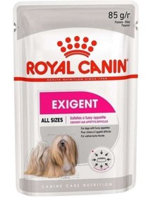 Resim Royal Canin Exigent Yetişkin Köpek Yaş Maması 85 gr 