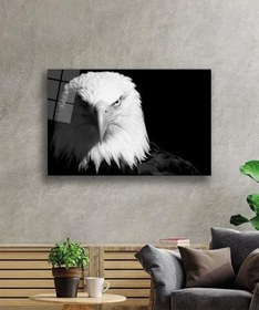 Resim Miyrem Kartal Hayvan Cam Tablo 30X45- myremNM478 