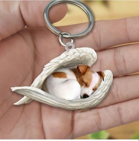 Resim Hfambition Akrilik Köpek Figürlü Anahtar Zinciri - Tek Taraflı Uv Baskılı - Ev Ve Araba Kullanıma Uygun - Pratik Ve Dayanıklı 