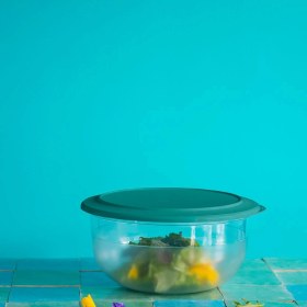 Resim Tupperware Kristalin Kase 3.5l Yeşil 