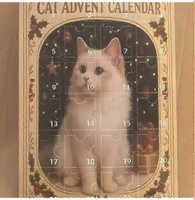 Resim Amerikan Futbolu Takımı 50. Yıl Dönümü Kör Kutu Akrilik Noel Ağacı Süsleme Kolye 26 18 3 Cm Kedi Advent Takvimi 