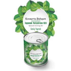 Resim Marsilyan Buffer® Konserve Bahçem Evde Konservede Kolay Ispanak Yetiştirme Kiti 