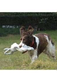 Resim Eco Chewtopıa Pıg Köpek Oyuncağı 