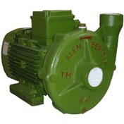 Resim Alem Bertola K40 3Hp Trifaze Santrifüj Pompa 