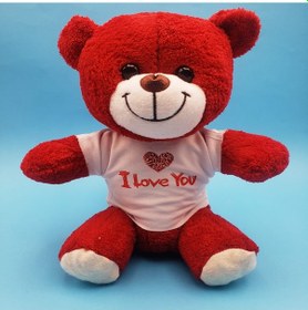 Resim Larimar Kırmızı I Love You Tişörtlü Peluş Ayıcık - 9073717653518lmr 
