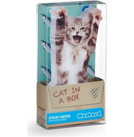 Resim Mustard Kedi Notluk 