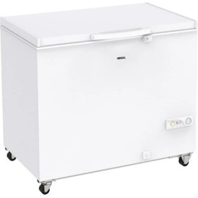 Resim Regal Sd Dual 4022 E Enerji Sınıfı 366 lt Sandık Tipi Derin Dondurucu 