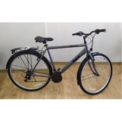 Resim Bisan Hardy 28 Jant 55cm Parlak Gri Siyah Şehir Bisikleti 