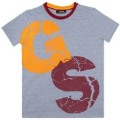 Resim Galatasaray Orijinal Çocuk T-shirt Gri 