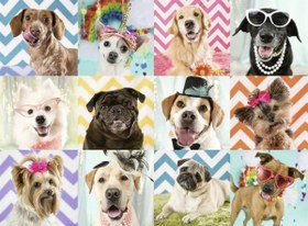 Resim Ravensburger 100 Parça Puzzle Kostümlü Köpekler 108701 