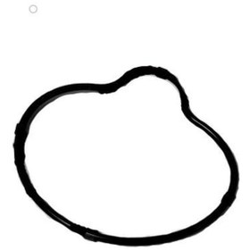 Resim Cfmoto 450 SR Termostat Kapağı Oringi Orjinal 