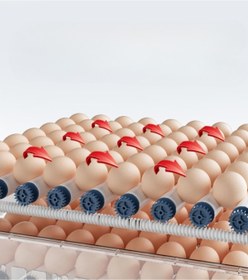 Resim Hype Store Epilons Tam Otomatik Kuluçka Makinesi, 60 Yumurta Kapasiteli, LCD Ekranlı, Otomatik Çevirme Sistemli 