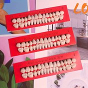 Resim Profesyonel ve Eğitim Amaçlı 28 Parça Seramik Diş Seti - Çok Renkli Reçine Diş Restorasyonu Model Kit 