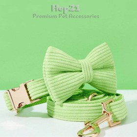 Resim Dog Collar Named Light Green Collar 446519 - Leash + Bow Tie + Leash Rope / S 