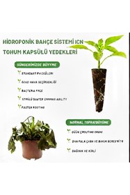 Resim gökkuşağı store Hidroponik Büyüme Süngerleri PH Dengeli, İç Mekan Bahçeciliği için Tohum Başlangıç Kapsülleri 5 ADET 