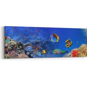 Resim Olla 180x60 Cm 12144yı Akvaryum / Balık Görseli Yatay İnce Kanvas Tablo 