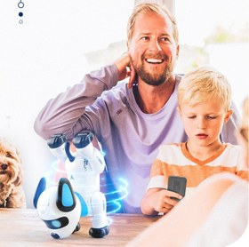 Resim Intelligent Robot Dog Remote Control Electric The Toy Dog - Stunt Dog Chinese Packaging 
