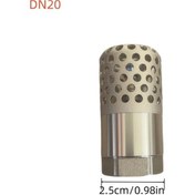 Resim Willowhaven Dn20 Pirinç Kalın Dip Vana Delikli Filtre Emniyet Vana Kuyu Pompa 