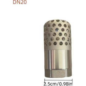 Resim Willowhaven Dn20 Pirinç Kalın Dip Vana Delikli Filtre Emniyet Vana Kuyu Pompa 