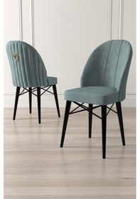 Resim Canisa Ritim Serisi, 1.sınıf Babyface Kumaş 6 Adet Su Yeşili Sandalye Siyah Gürgen Ayak Gold Halkalı Sandalye Su Yeşili Ayaklar Siyah 