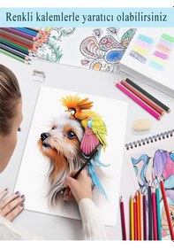 Resim 24 Lü Kuru Boya Kalemi Plastik Kutulu 1 Paket 24 Renk Altıgen Tutum Silinebilir Kuruboya Tam Boy Renkli Kalem Çok Renkli 