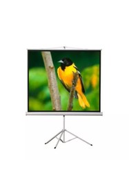 Resim Genel Markalar T120 240x200 Cm Tripod Projeksiyon Perdesi 