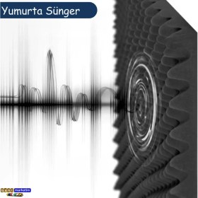 Resim 50MM Yanmaz Akustik Yalıtım Yumurta Sünger 50 Dns 100CMX100CM (1m²) 
