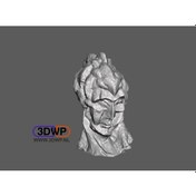 Resim Picasso - Kadın Başı Heykel 3d Tarama Plastik Aparattır 