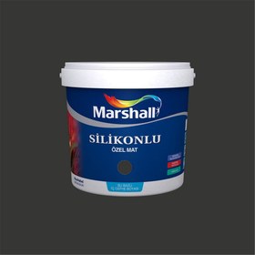 Resim Marshall DN.00.11 2,5 Litre Silikonlu Özel Mat Su Bazlı İç Cephe Boyası (MARSHALL.5134339) 