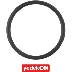 Resim AGCO O-Ring - Massey Ferguson / Fendt / Valtra | ACP0445880 