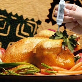 Resim Loyka INNO-300 Saplama Problu Gıda Termometresi 