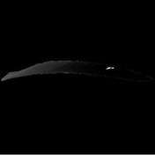 Resim Genel Markalar PCX2018 Sol Kaş Siyah P1864506S 