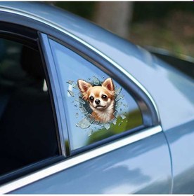 Resim River World Arabalar İçin Sticker Chiuahua 