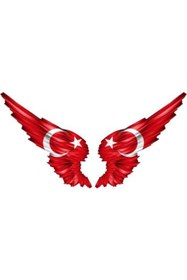 Resim TSC Ay Yıldız Bayrak Sticker Kanata Şeklinde Araba Aynası Için 13cm 