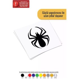 Resim Yuvarlak Örümcek - Araç, Oto, Laptop, Duvar Uyumlu Sticker 50 60 Cm 