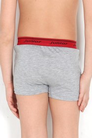 Resim Miorre Erkek Çocuk Boxer 