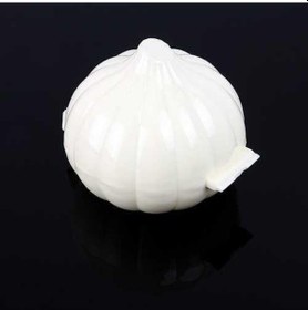 Resim Sarımsak Saklama Kabı Karışık 