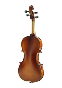 Resim Keman Stanislava Öğrenci Stv12Br 