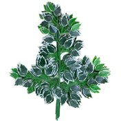 Resim Cihan Çiçekçilik Yapay Çiçek Demet Ficus Dalı 12 Adet 65 Cm 