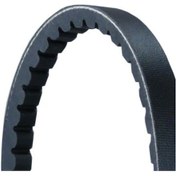 Resim V Kayısı 0069979792 